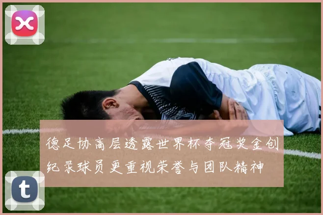 德足协高层透露世界杯夺冠奖金创纪录球员更重视荣誉与团队精神