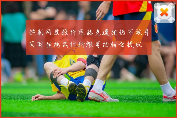 热刺两度报价范赫克遭拒仍不放弃同时拒绝武什科维奇的转会提议